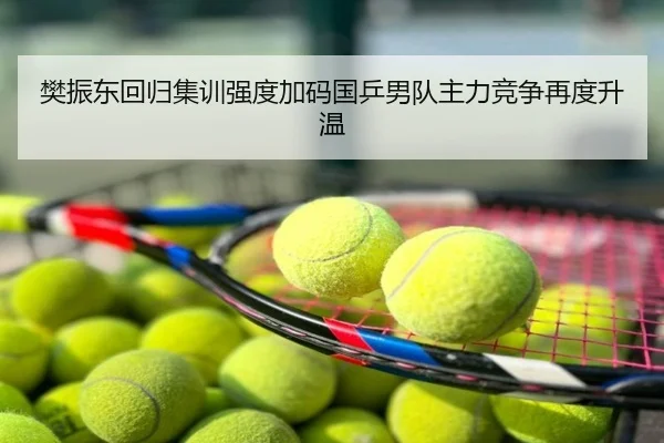 樊振东回归集训强度加码国乒男队主力竞争再度升温