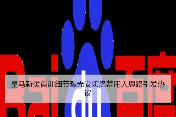 皇马新援首训细节曝光安切洛蒂用人思路引发热议
